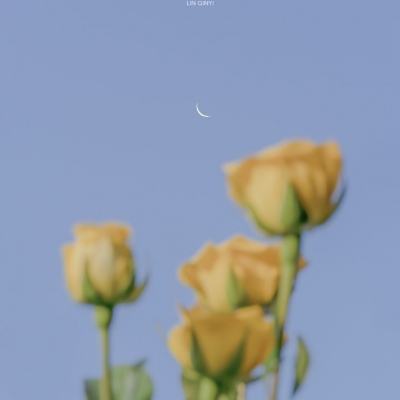 杨柳枝词九首·其一